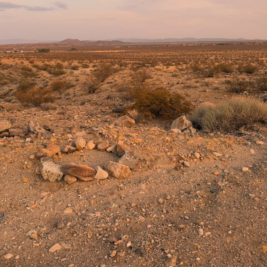 Desert brush and mountains at dusk